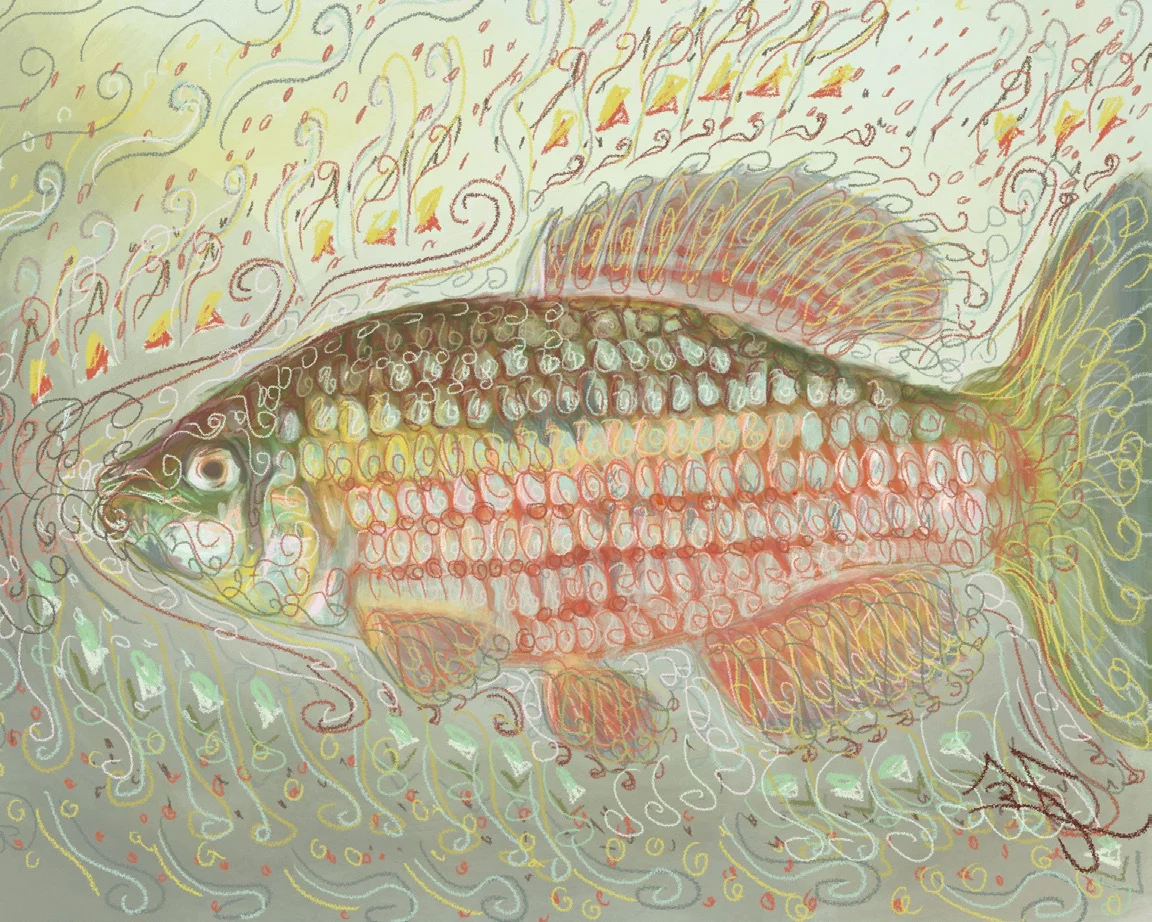 Fish, 2014, by anonymous