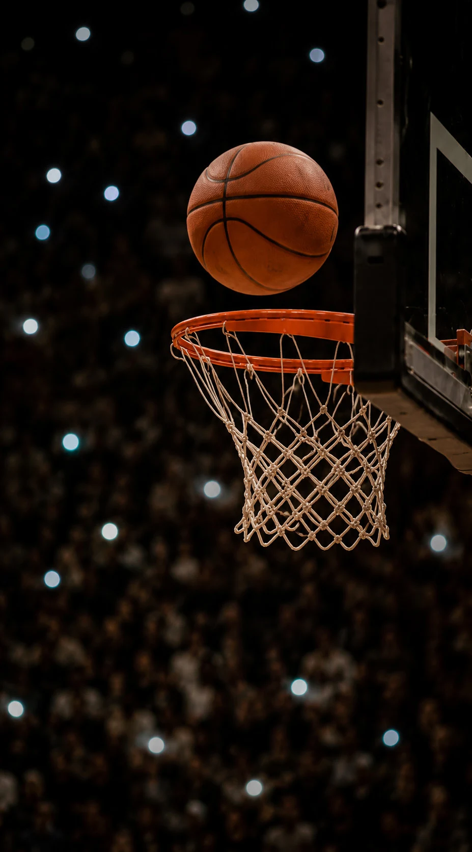 Basketball and hoop